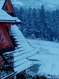 Nuria: El alma rota del Gran Alfa - Episode 36