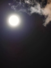 Episodio 53 - Un amore per destino