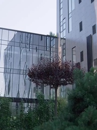 Ne tombe pas amoureux de moi, mon cher mari - Episode 8