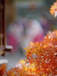 Dekapan Sang Rembulan - Episode 44