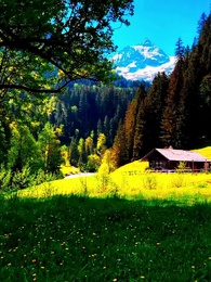 Un amore per destino - Episode 26