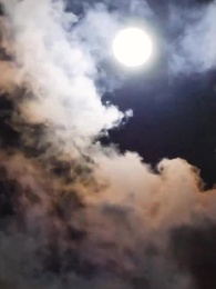 Episodio 60 - Un amore per destino