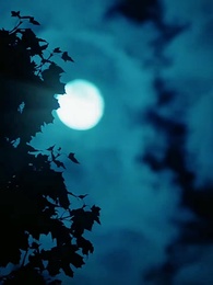 Episodio 66 - Nuria: El alma rota del Gran Alfa