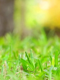 Episodio 48 - Un amore per destino