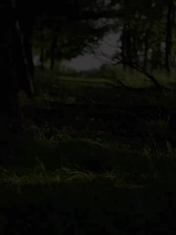 Un amore per destino - Episode 3