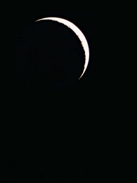 Nuria: El alma rota del Gran Alfa - Episode 51