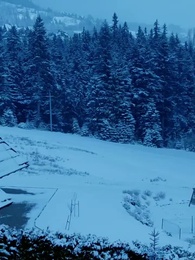 Nuria: El alma rota del Gran Alfa - Episode 39