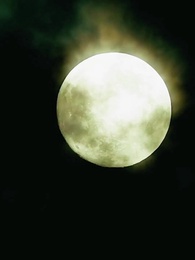 Nuria: El alma rota del Gran Alfa - Episode 14