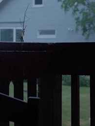 Episodio 33 - Un amore per destino