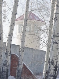 後台已選標籤 - Episode 59