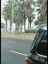 Episodio 67 - Dulce Renacer, Venganza del Destino