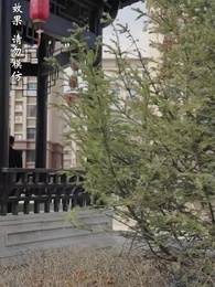 第42集 - 至誠之道