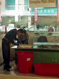 Ashes of Brotherhood - Episode 3