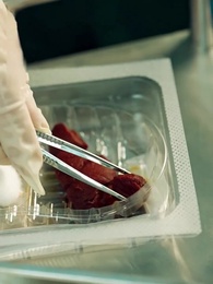 Ashes of Brotherhood - Episode 37