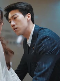 Episodio 26 - [Doppiato]L'Erede Inaspettata: Dopo il Divorzio