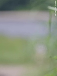 第6集 - 我和我的父親