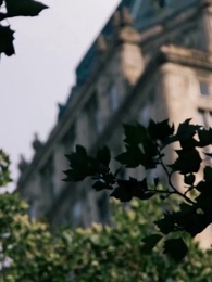 Il legame predestinato - Episode 37