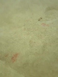 Ejderhanın Peşinde: - Episode 19