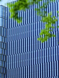 第29集 - 心死後，家人跪求我回家