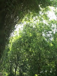 [Lồng tiếng]Mộng Tương Tư - Episode 54