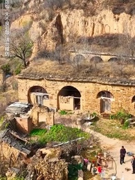 第2集 - 孝子歸巢