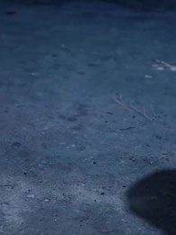 第98集 - 醫者為王，被迫離婚後我向全世界攤牌