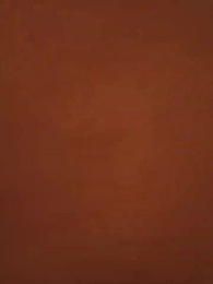 第17集 - 贅婿反擊戰