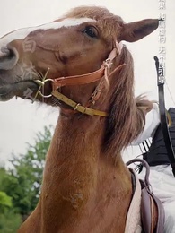 白家大少 - Episode 1