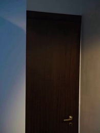 Schwanger, nachdem sie vom Alpha abgelehnt wurde - Episode 66