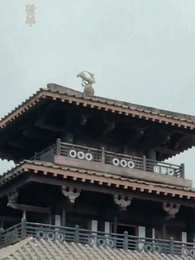 14화 - 숨겨진 봉황