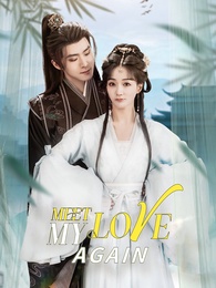 Meet My Love Again
