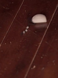 Sogni Proibiti: L'Amore Perduto dell'Imperatore - Episode 6