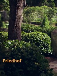 Onkel, Ich Liebe Dich - Episode 13