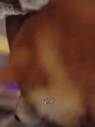 أنا الحاكم الشاب - Episode 3