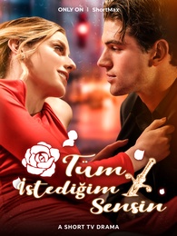 Tüm İstediğim Sensin