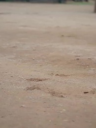 Vận Mệnh Trái Ngược - Episode 8