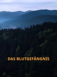 Schwanger, nachdem sie vom Alpha abgelehnt wurde - Episode 37