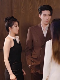 Tập 48 - Theo Đuổi Vợ Cũ Hào Môn, Cao Không Với Tới