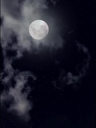 第63集 - 權寵悍妻