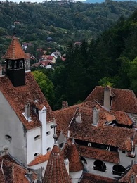 Embarazada tras ser rechazada por el Alfa - Episode 34