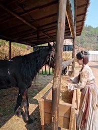 Vận Mệnh Trái Ngược - Episode 13