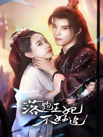 落跑王妃不好追