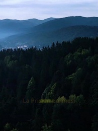 Episodio 37 - Embarazada tras ser rechazada por el Alfa