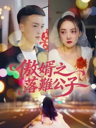 傲婿之落難公子