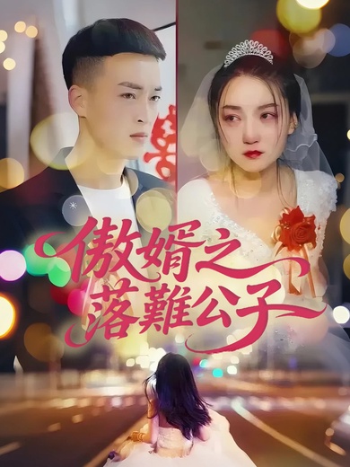 傲婿之落難公子