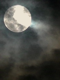 Milyarderin Kucağından Kaçış - Episode 28