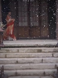 第11集 - 落跑王妃不好追