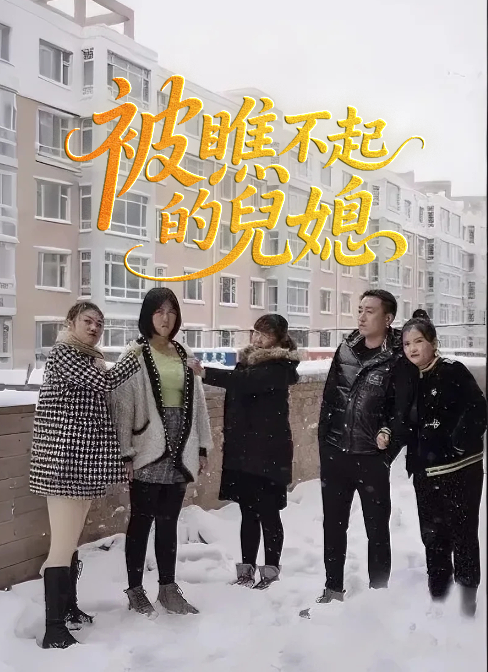 《被瞧不起的兒媳》封面