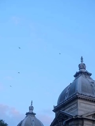 Schwanger, nachdem sie vom Alpha abgelehnt wurde - Episode 54