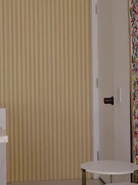 Episodio 17 - El padrino es mi ex multimillonario